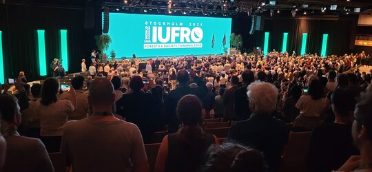 Unter Forschenden aus der ganzen Welt FVA auf dem IUFRO-Weltkongress in Stockholm