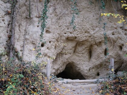 Steile Lösswand mit Höhle