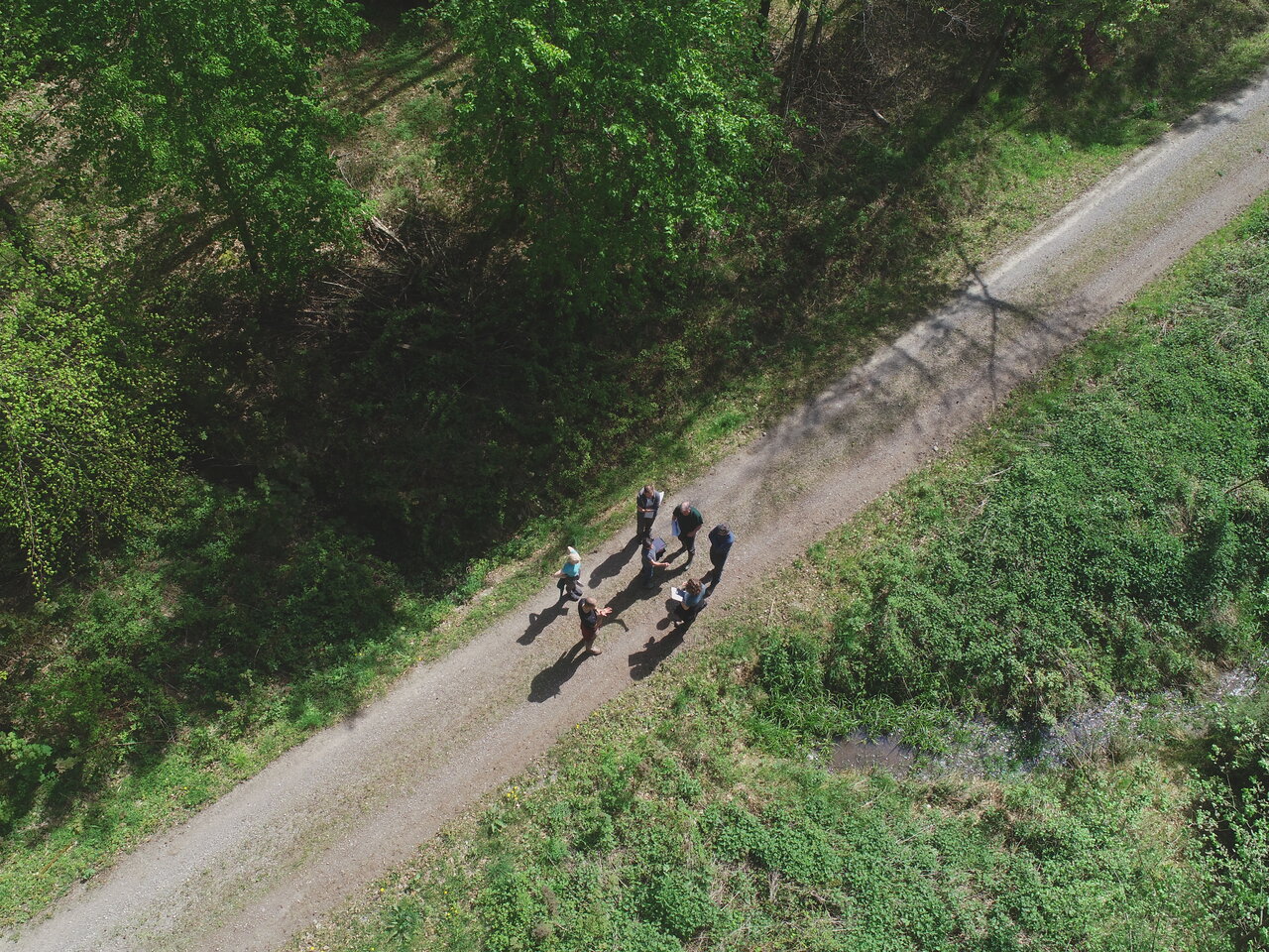 Die Drohnenaufnahme zeigt eine Gruppe Menschen an einem Wassergraben im Wald 