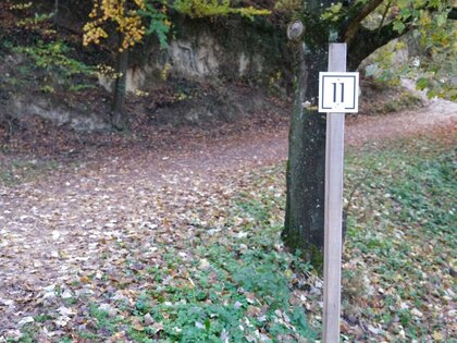 Hohlweg als Mittlerer Rundweg II – Lehrpfad –gekennzeichnet, Baum neben Weg