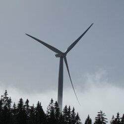 Eine Windenergieanlage im Wald