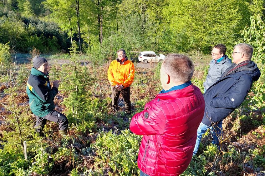 Ein Mann spricht zu vier Männern. Sie stehen im Wald auf einer Fläche mit kleinen Bäumen. 